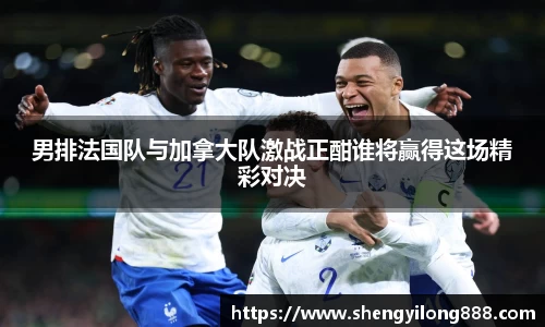 熊猫体育男排法国队与加拿大队激战正酣谁将赢得这场精彩对决