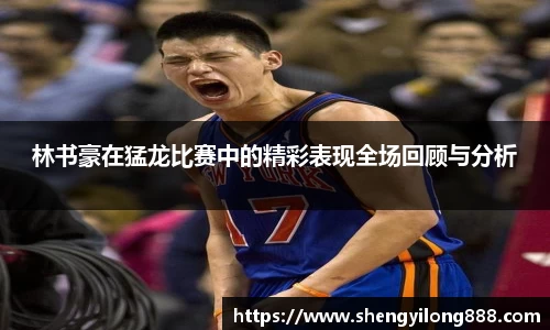 熊猫体育林书豪在猛龙比赛中的精彩表现全场回顾与分析