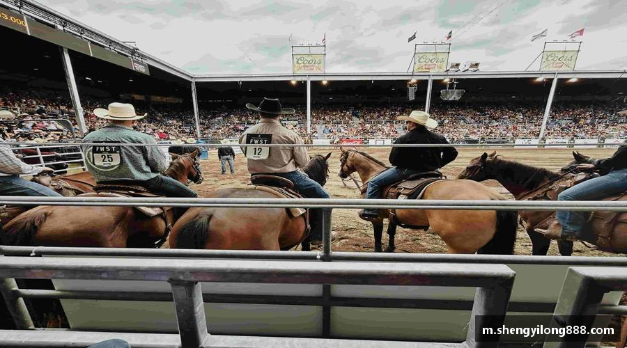 熊猫体育直播🏅 比分跳动，你的心跳与赛事同频共振！💓